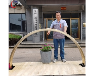 精密雙導程無(wú)間隙蝸桿蝸輪副